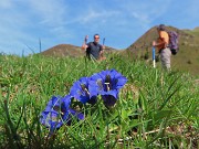 08 Gentiana acaulis (Genziana di Koch)